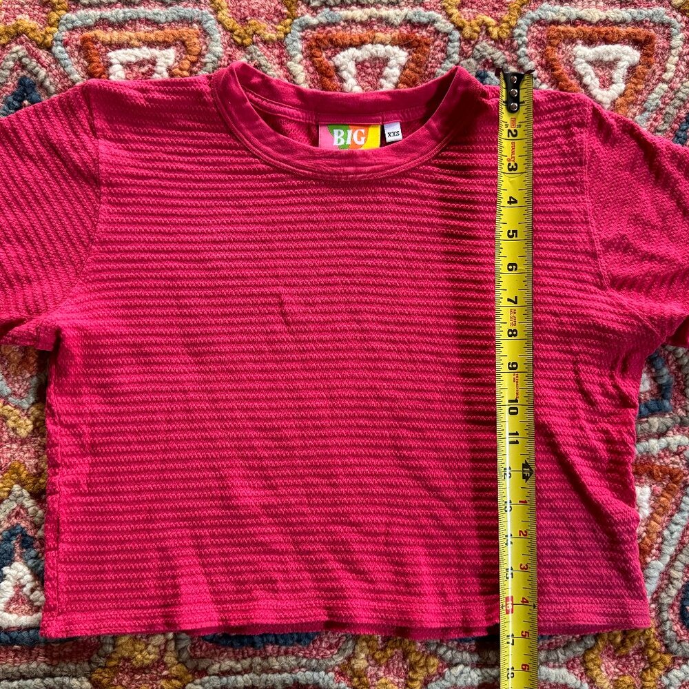 Big Bud Press Cropped Honeycomb Tee XXS